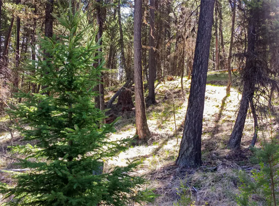 Lot 7 Whispering Pines, Fortine, MT 59918 - #3