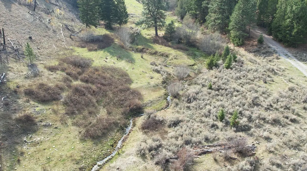 1 Tract, Bull Elk, Drummond, MT 59832 - #1
