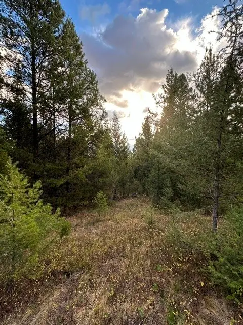 Lot 10 Black Pine Meadows Subdivision, Philipsburg, MT 59858 - #1