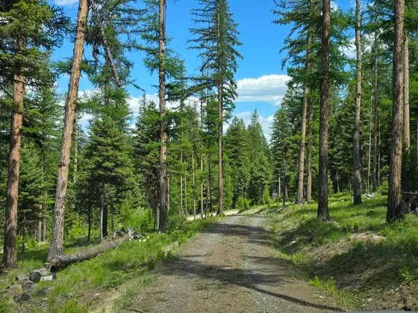 3007 S Placid View Place, Bonner, MT 59823