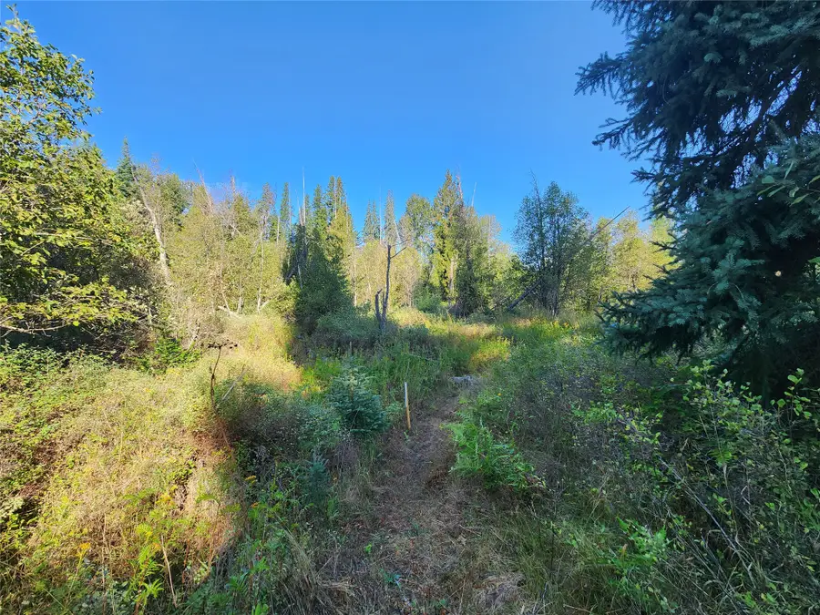 174 Double Creek Lane, Troy, MT 59935 - #2