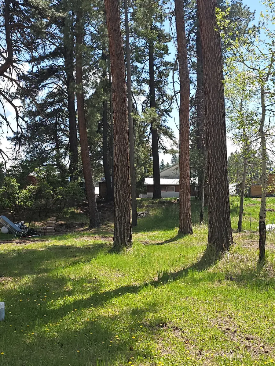 808 2nd Street N, Lincoln, MT 59639 - #2