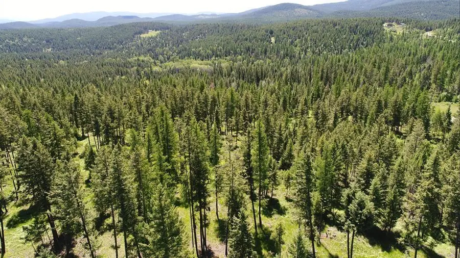 Lot 2 Meadow Springs, Fortine, MT 59918 - #2