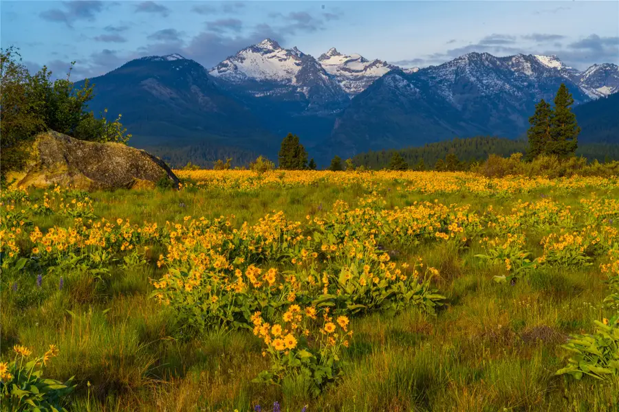 2519 Old Darby Road, Darby, MT 59829 - #3