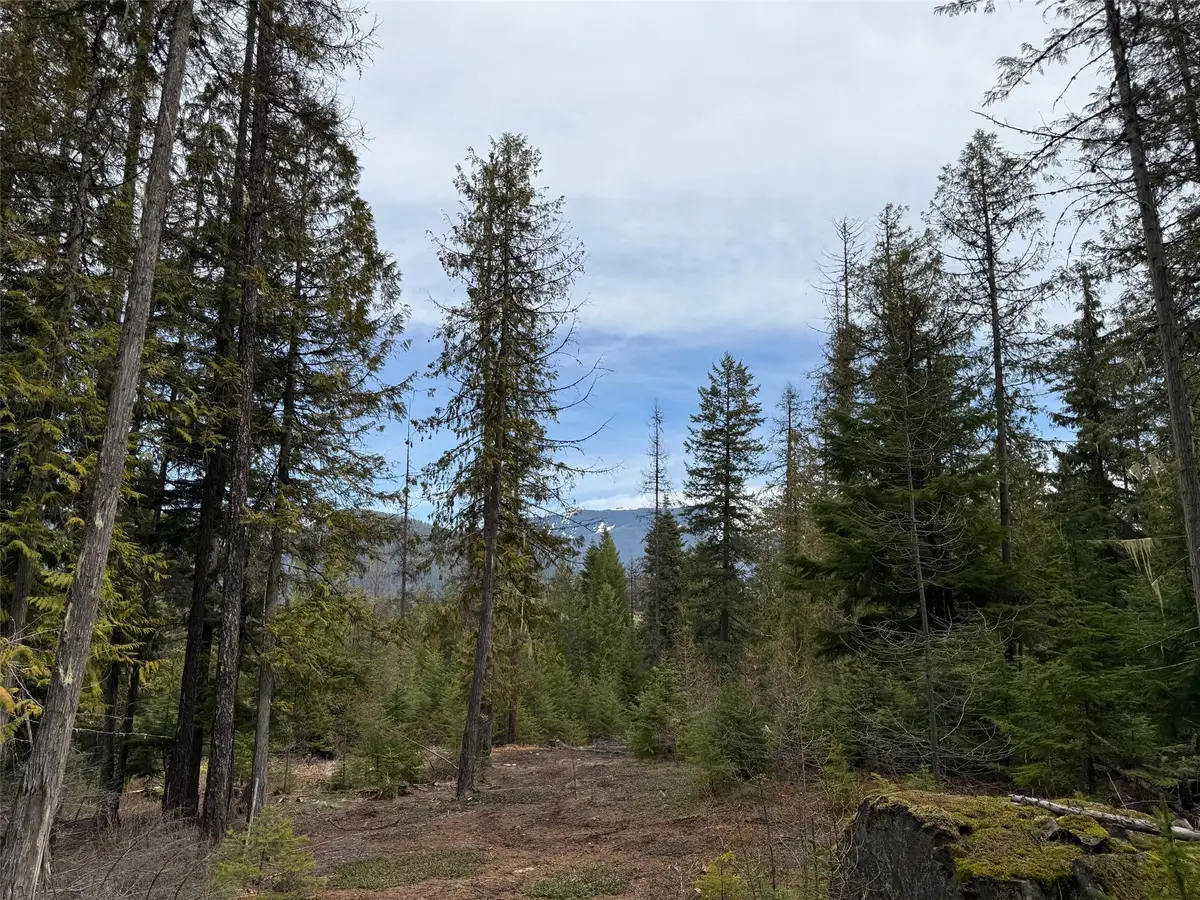 230 Klakken Road, Noxon, MT 59853 - #1