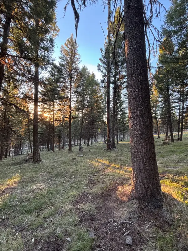 139 Montana View Drive, Seeley Lake, MT 59868