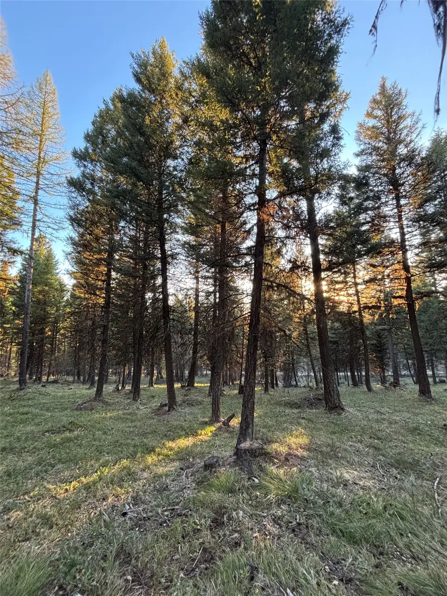 139 Montana View Drive, Seeley Lake, MT 59868 - #3