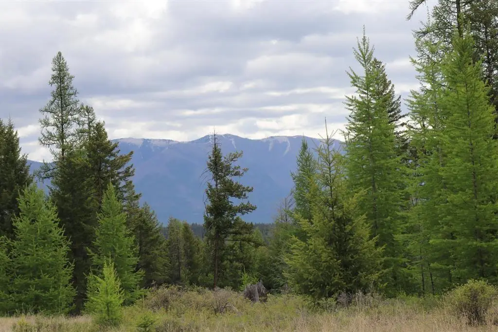 Lot 1A Meadow Springs, Fortine, MT 59918 - #1