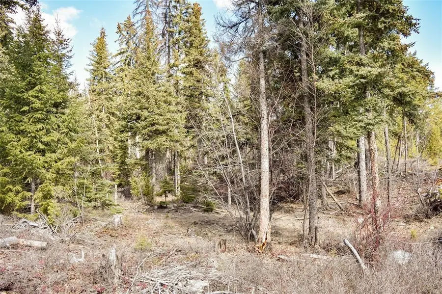 Lot 1A Meadow Springs, Fortine, MT 59918 - #3