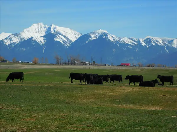 NHN Hwy 212, Charlo, MT 59824