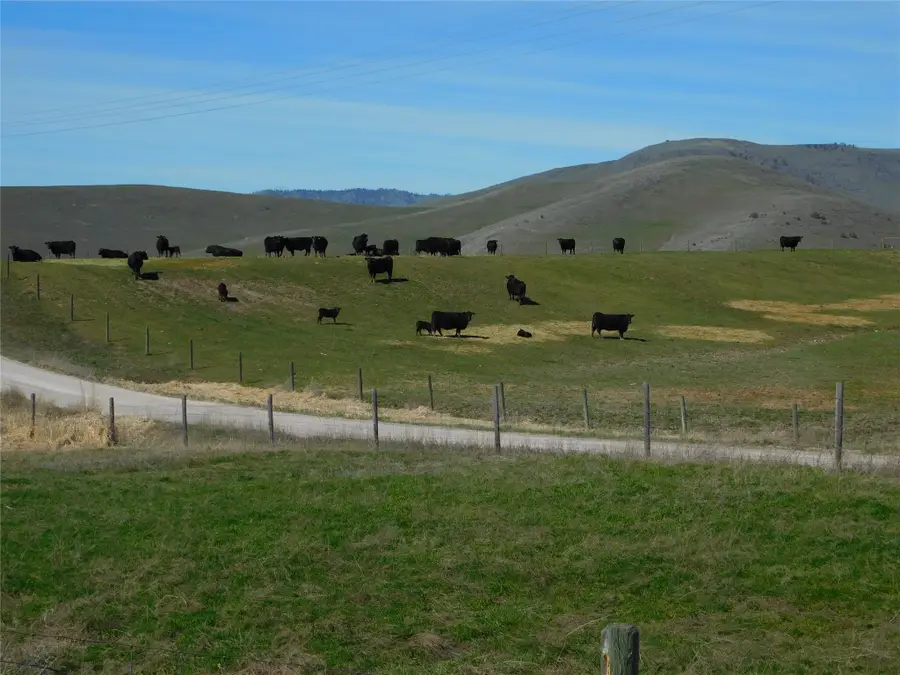 NHN Hwy 212, Charlo, MT 59824 - #3