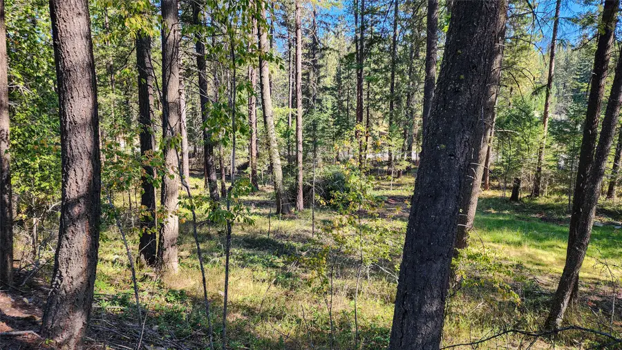 1505 Kootenai River Road, Libby, MT 59923 - #3