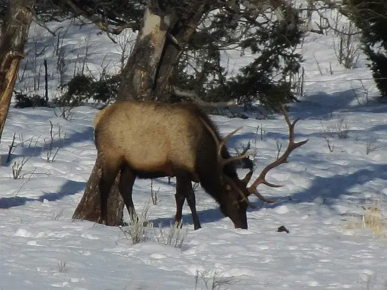 900 Flint Creek Road, Ramsay, MT 59748 - #3