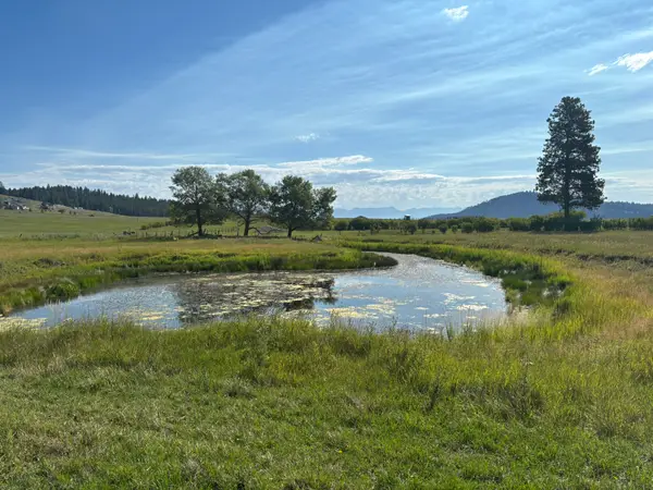 691 Morning View Drive, Kalispell, MT 59901