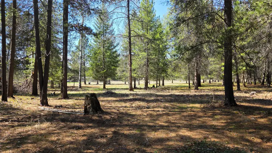 143 Horizon Drive, Libby, MT 59923 - #2