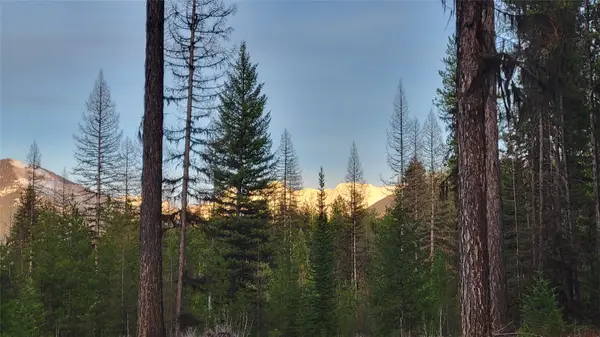34477 Shay Lake Road, Bigfork, MT 59911
