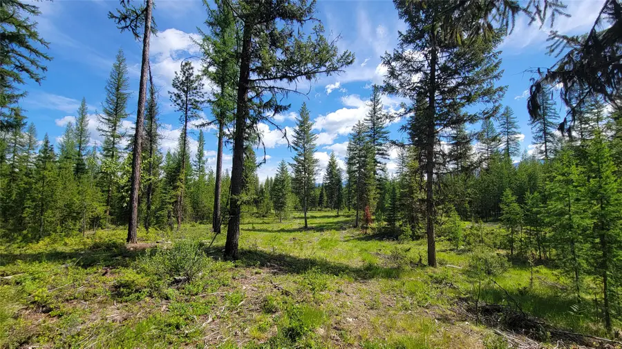 34477 Shay Lake Road, Bigfork, MT 59911 - #2