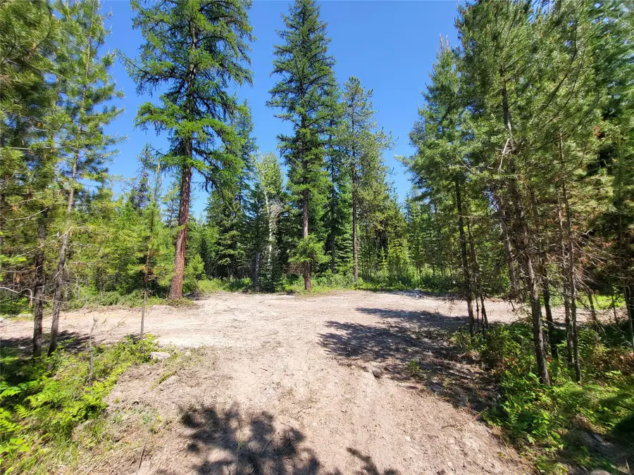 34388 Shay Lake Road, Bigfork, MT 59911 - #2