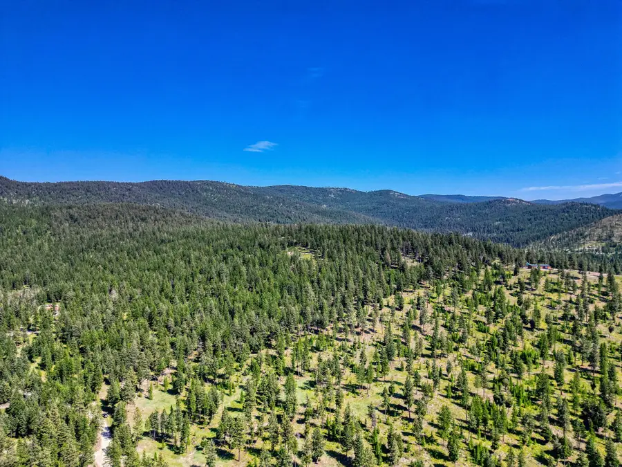 386 Racheals Meadow Lane, Kila, MT 59920 - #3