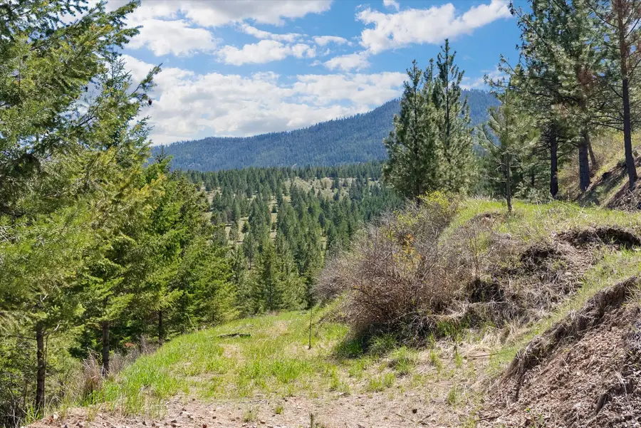 5016 Arnica Road, Missoula, MT 59803 - #3