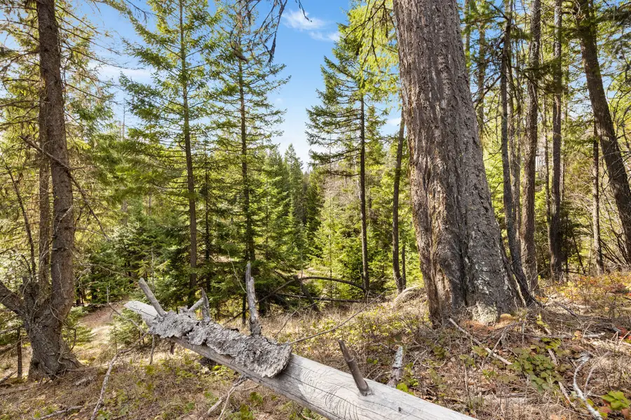 310 Rolling Ridge Drive, Kalispell, MT 59901 - #3