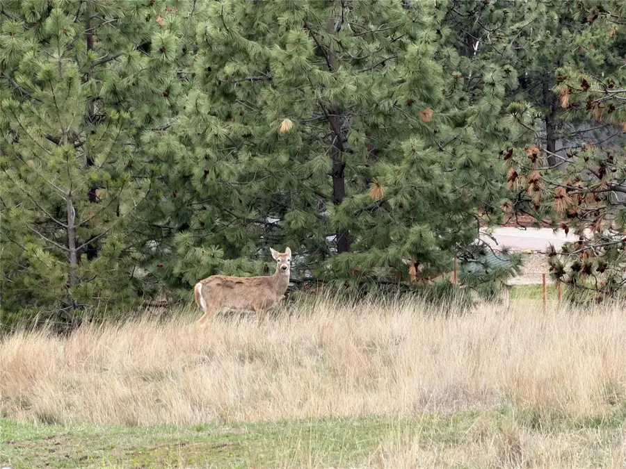 2608 Gharrett Street, Missoula, MT 59803 - #2