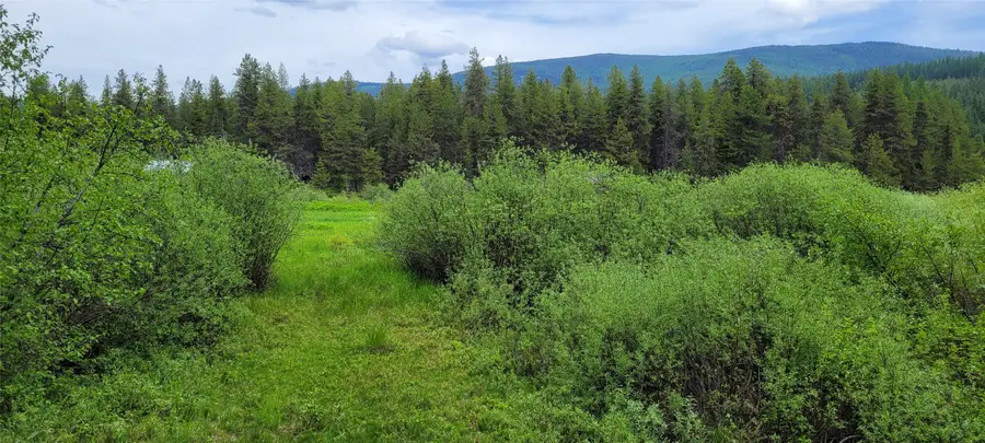 Nhn N Fork Yaak Road, Yaak, MT 59935 - #2
