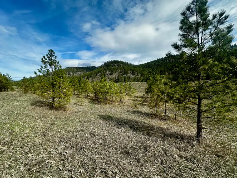 NKA River Bend Road N, Superior, MT 59872 - #2