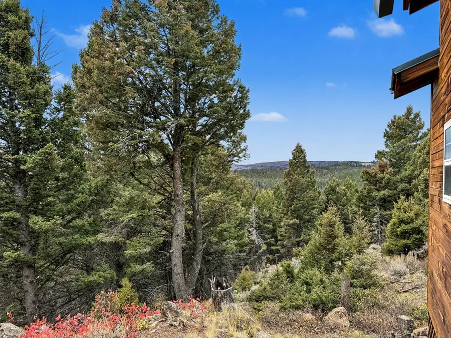 30 Bunks Trail, Ennis, MT 59729 - #3