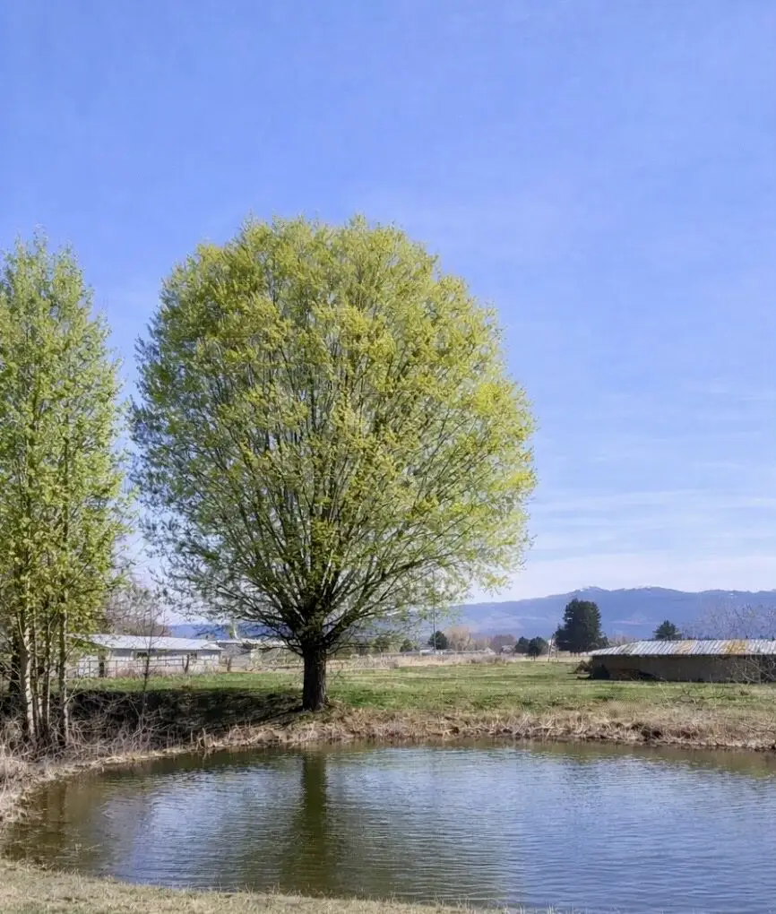 611 Old Corvallis Road, Corvallis, MT 59828 - #2