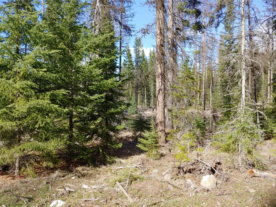 NHN Off Styler Drive, Condon, MT 59826 - #3