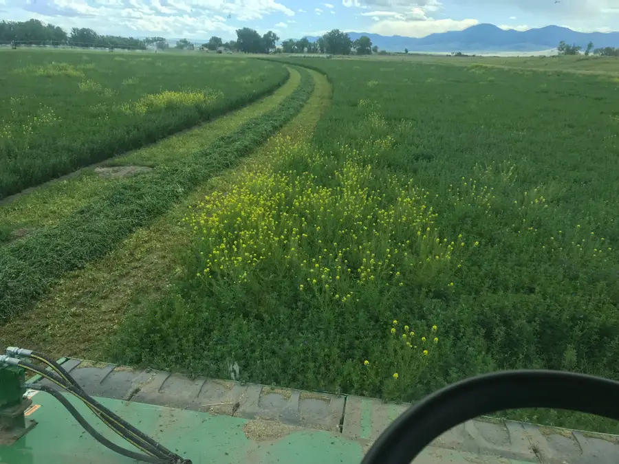 tbd Tbd, Cascade, MT 59421 - #2