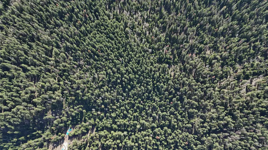 N/A Wapiti Point Drive, Thompson Falls, MT 59873 - #2