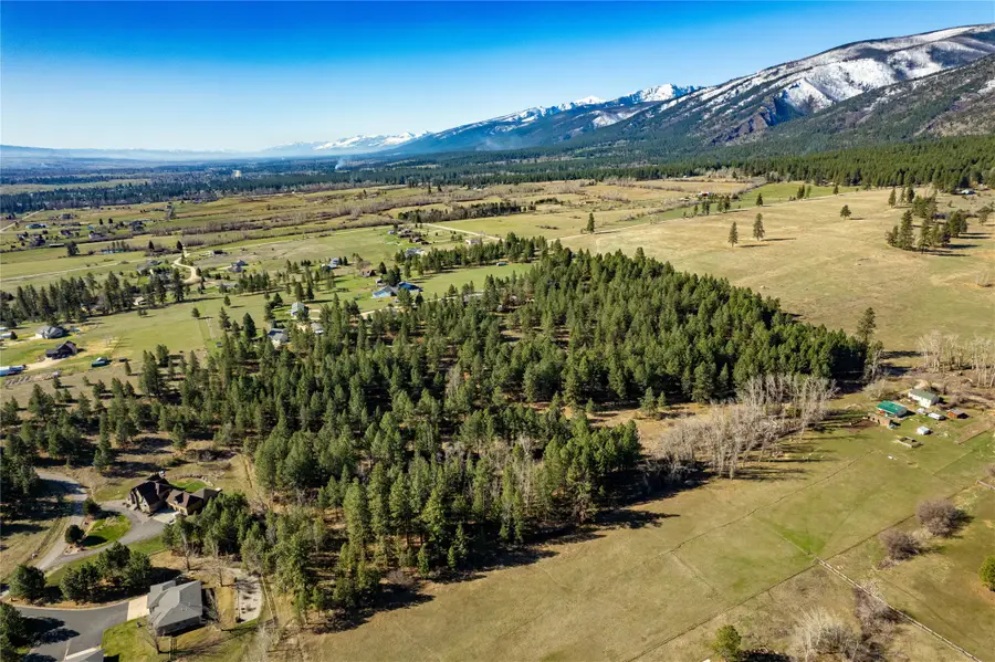 21650 Jones Road, Florence, MT 59833 - #3