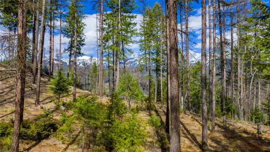 1335 Lion Mountain Drive, Whitefish, MT 59937 - #2