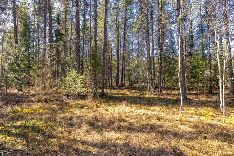 NHN Rabe Road, Columbia Falls, MT 59912 - #2