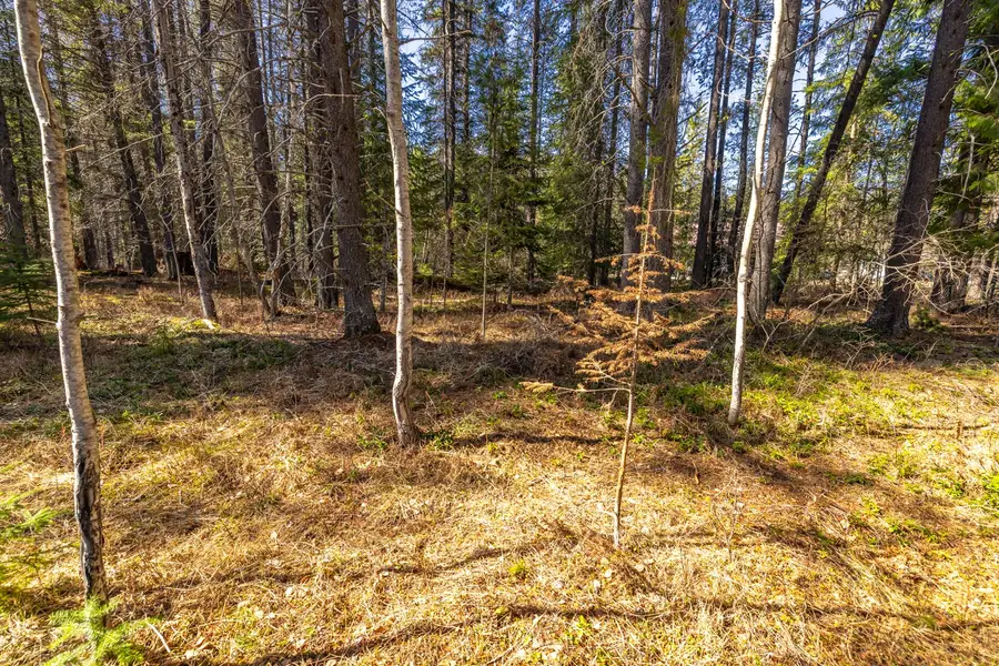 NHN Rabe Road, Columbia Falls, MT 59912 - #3