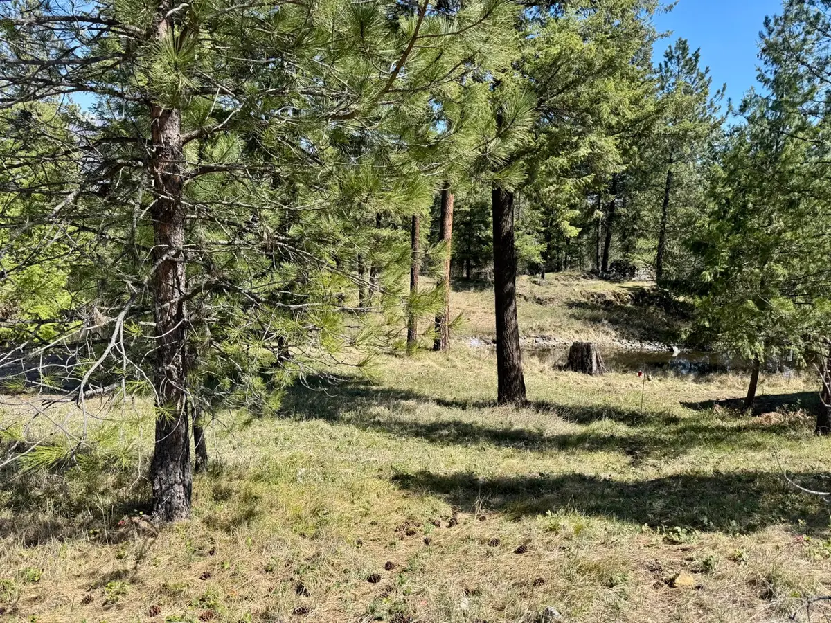 Nhn Mossy Rock Court, Thompson Falls, MT 59873 - #1