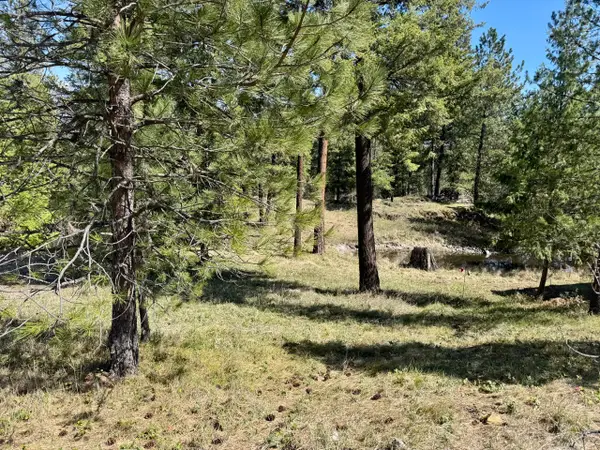 Nhn Mossy Rock Court, Thompson Falls, MT 59873