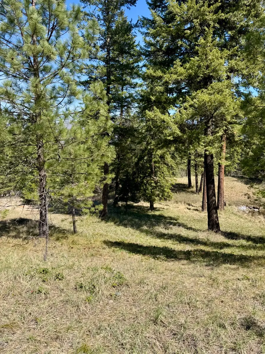 Nhn Mossy Rock Court, Thompson Falls, MT 59873 - #2