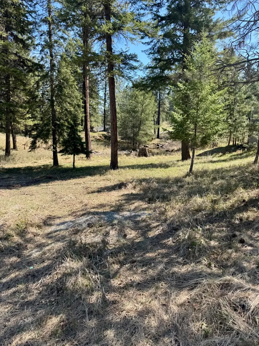 Nhn Mossy Rock Court, Thompson Falls, MT 59873 - #3