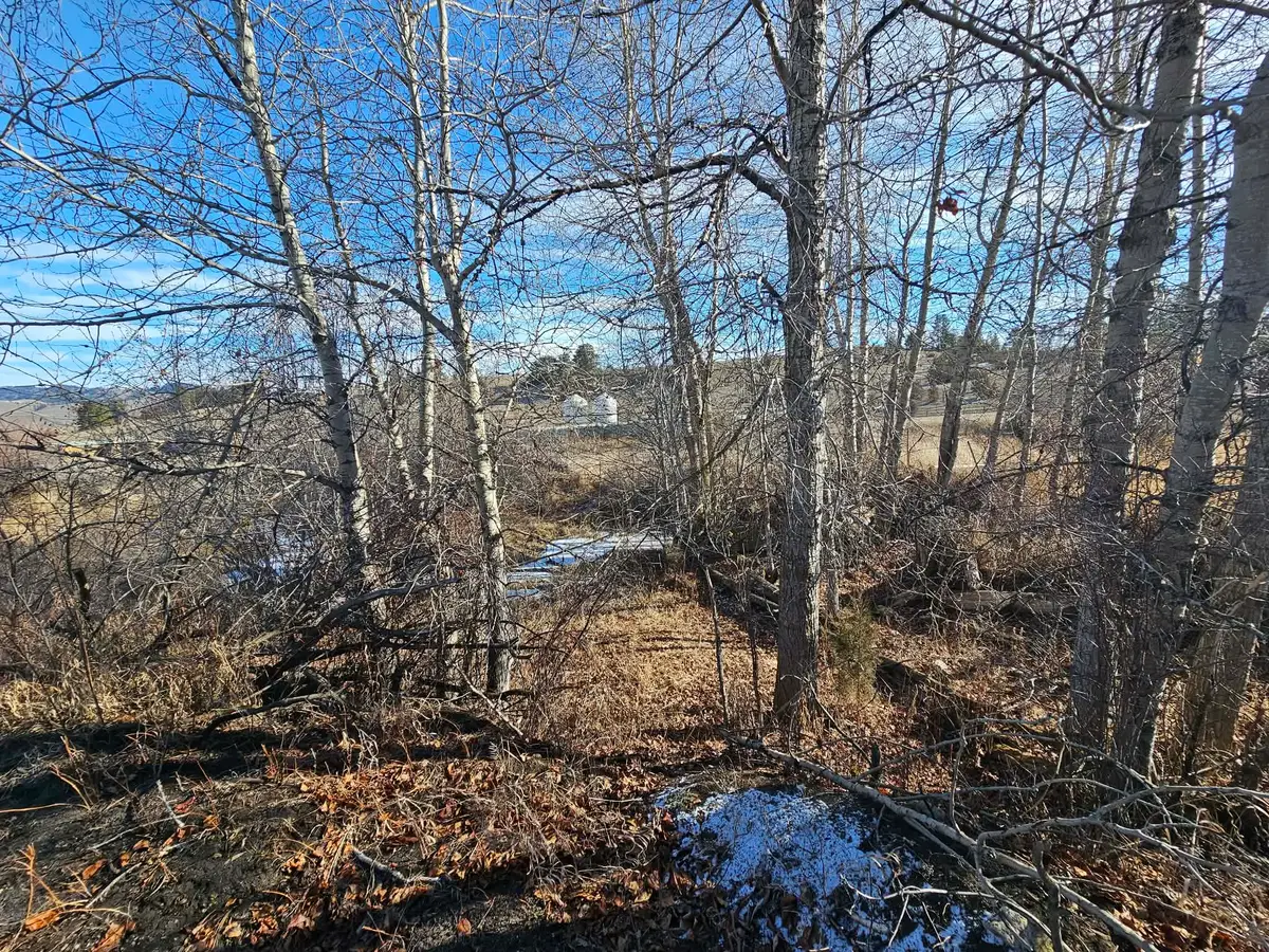 198 Mullan Trail Road, Gold Creek, MT 59733 - #1