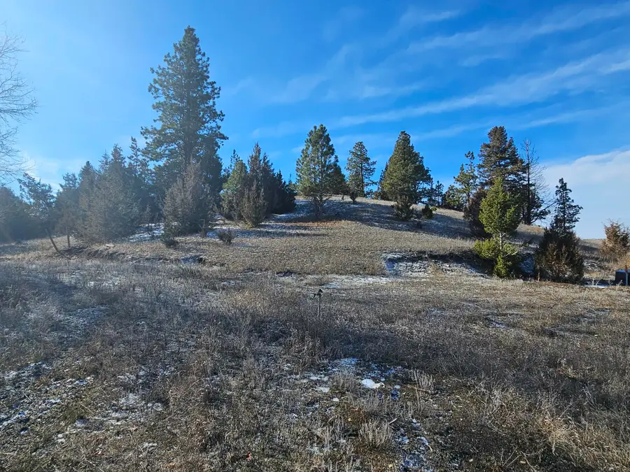 198 Mullan Trail Road, Gold Creek, MT 59733 - #3