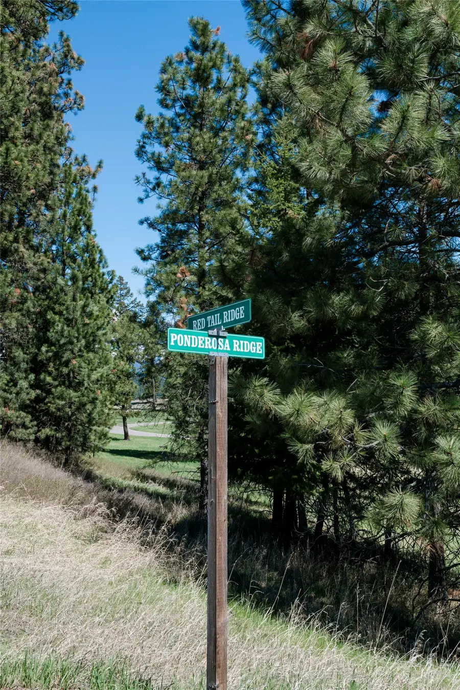 37 Red Tail Ridge, Bigfork, MT 59911 - #3