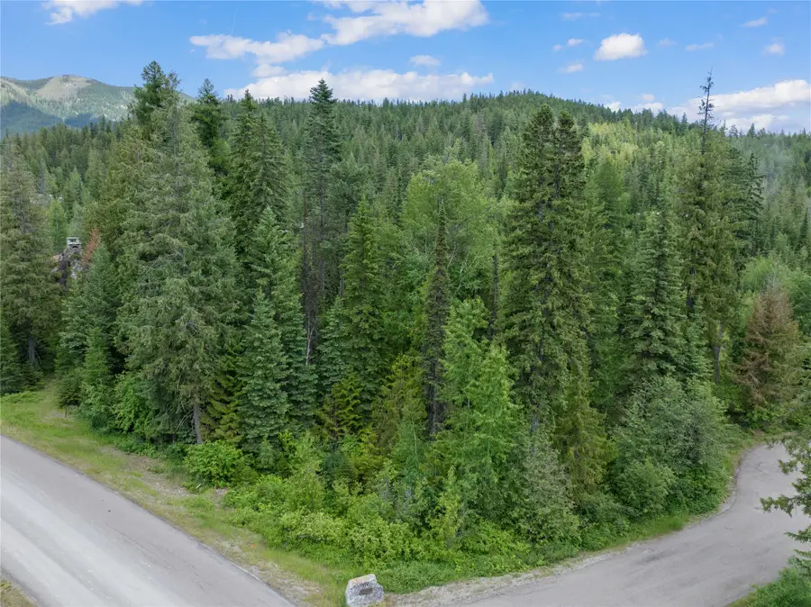 120 Woodland Star Circle, Whitefish, MT 59937 - #3