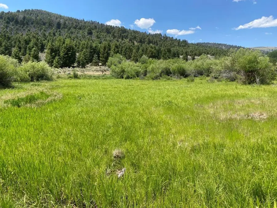 TBD Camp Creek Road, Butte, MT 59701 - #2