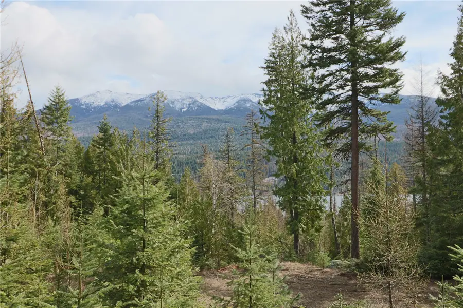 NHN Into The Woods Trail, Bigfork, MT 59911 - #2