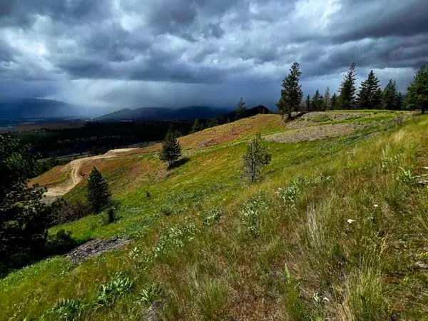 Lot 5 Diamond S Ranch, Plains, MT 59859