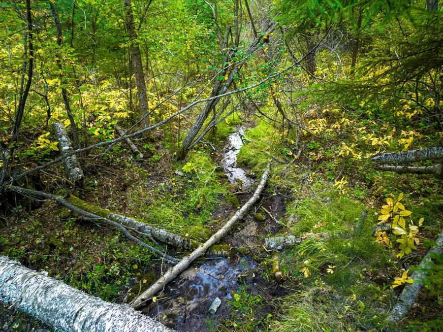 NHN Black Lake Road, Rexford, MT 59930 - #3