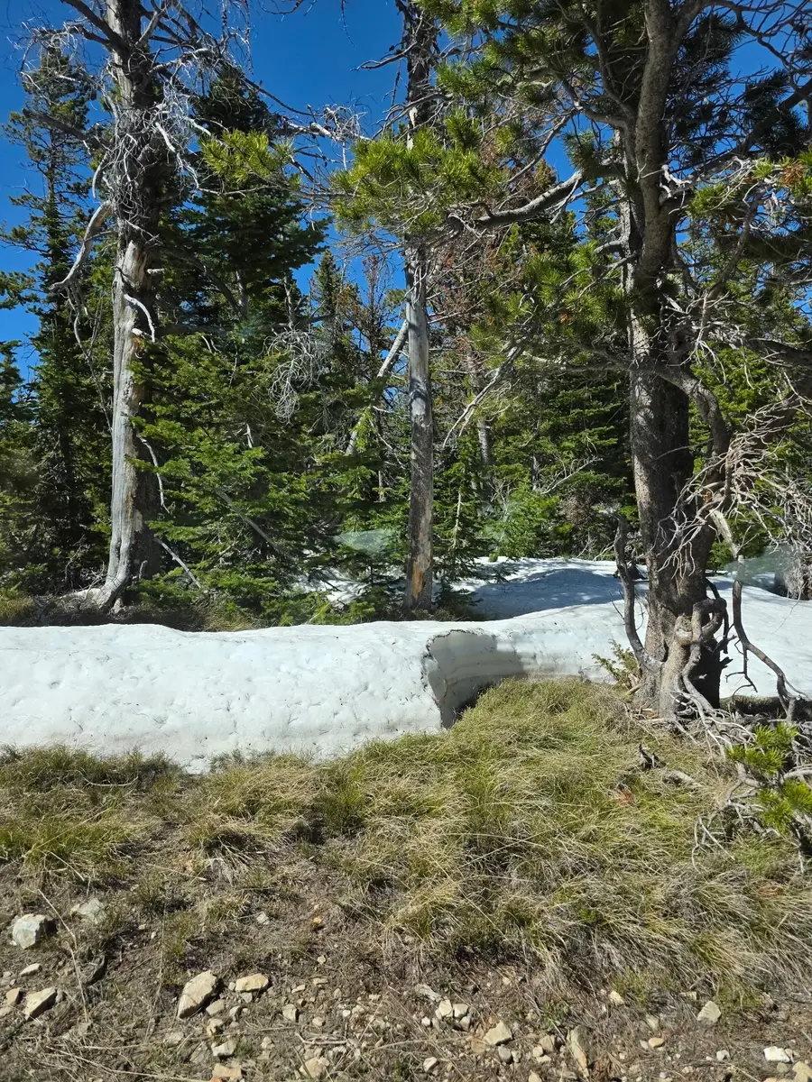 NHN Heitman, White Sulphur Springs, MT 59645 - #3